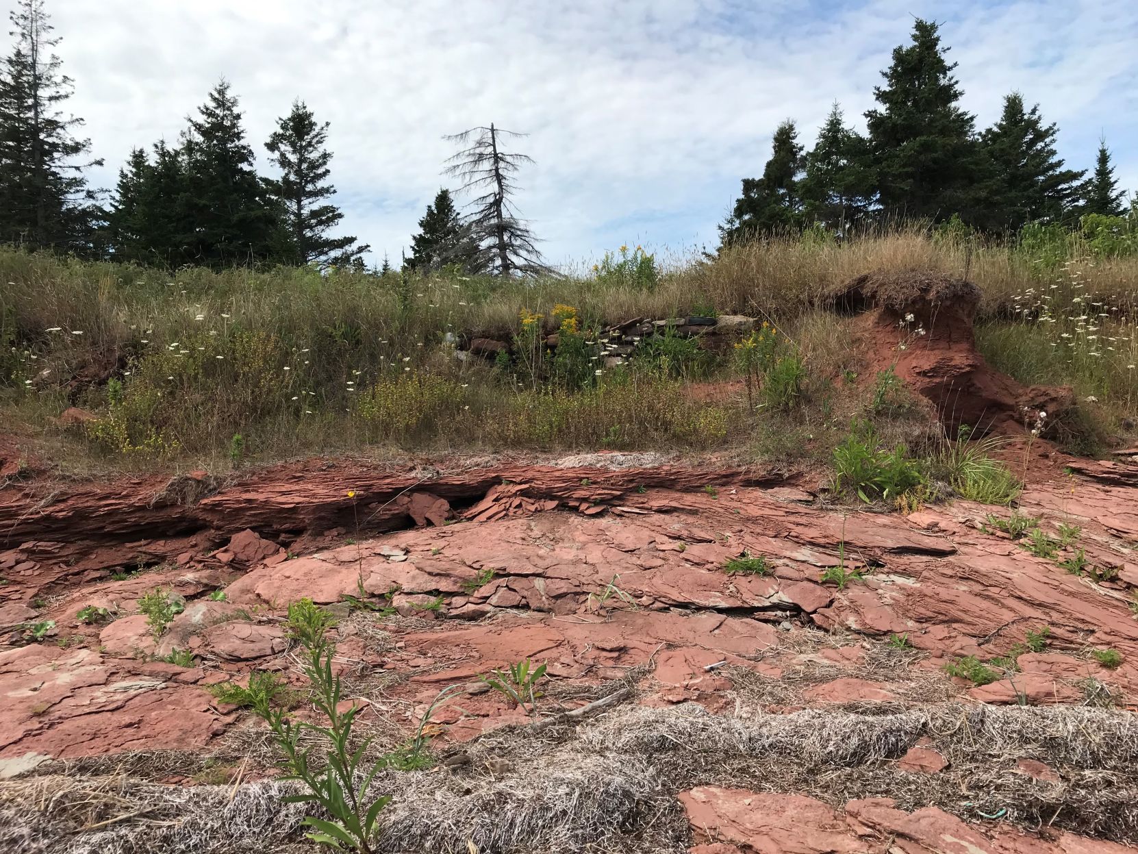 ACA.cmaexcavations.05.081819